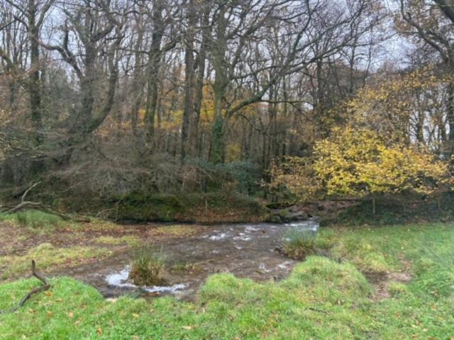 Rosecraddoc Lodge 23 Liskeard Bagian luar foto